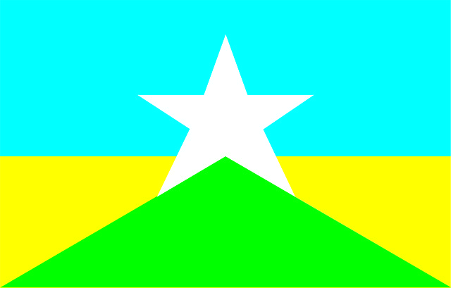 Free download Flag State Rondônia -  free illustration to be edited with GIMP free online image editor