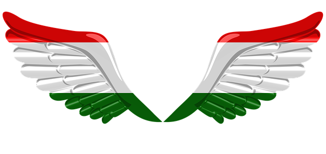 Free download Flag Wings Tajikistan -  free illustration to be edited with GIMP free online image editor