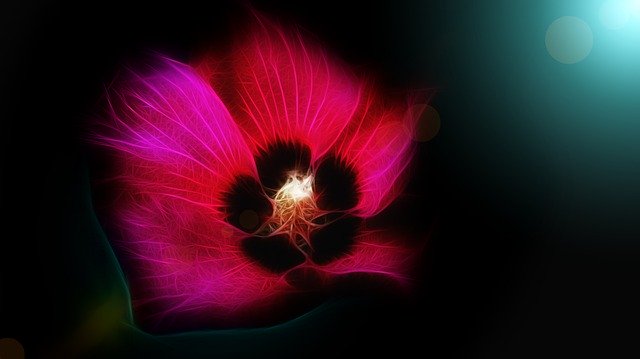 Kostenloser Download Flower Abstract Art - kostenlose Illustration, die mit dem kostenlosen Online-Bildeditor GIMP bearbeitet werden kann