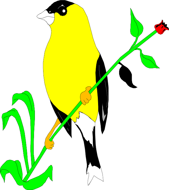 Free download Flower Bird Plant - Free vector graphic on Pixabay free illustration to be edited with GIMP free online image editor