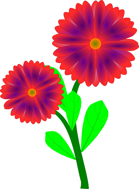 Free download Flower Bloom Blossom - Free vector graphic on Pixabay free illustration to be edited with GIMP free online image editor