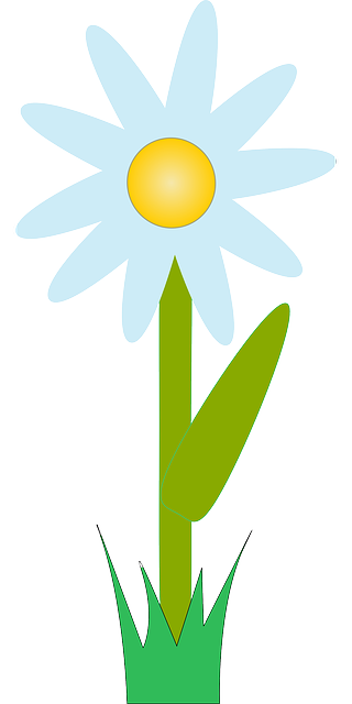 Free download Flower Blue Plant - Free vector graphic on Pixabay free illustration to be edited with GIMP free online image editor