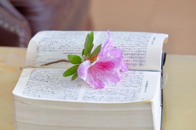 Free download Flower Book Bible -  free photo or picture to be edited with GIMP online image editor