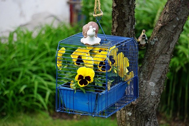 ดาวน์โหลดฟรี Flower Cage Design - ภาพถ่ายหรือรูปภาพฟรีที่จะแก้ไขด้วยโปรแกรมแก้ไขรูปภาพออนไลน์ GIMP