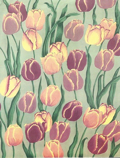 Free download Flower Flora Tulip -  free illustration to be edited with GIMP free online image editor