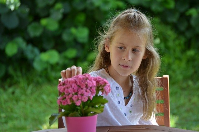 Free download Flower Girl Garden -  free photo or picture to be edited with GIMP online image editor