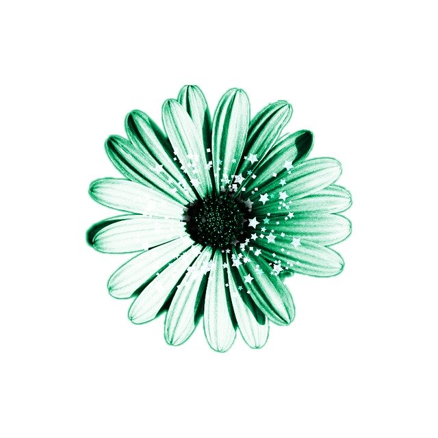 Free download Flower Green Jade -  free illustration to be edited with GIMP free online image editor