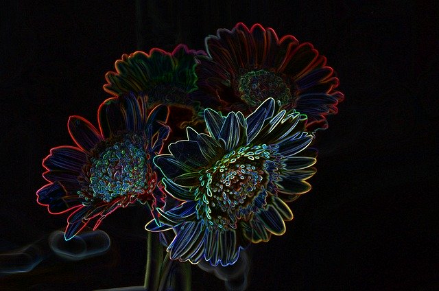 Free download Flower Light Neon -  free illustration to be edited with GIMP free online image editor