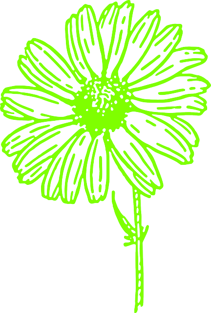 Free download Flower Marguerite Spring - Free vector graphic on Pixabay free illustration to be edited with GIMP free online image editor