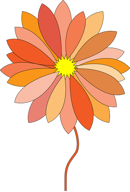 Free download Flower Orange - Free vector graphic on Pixabay free illustration to be edited with GIMP free online image editor