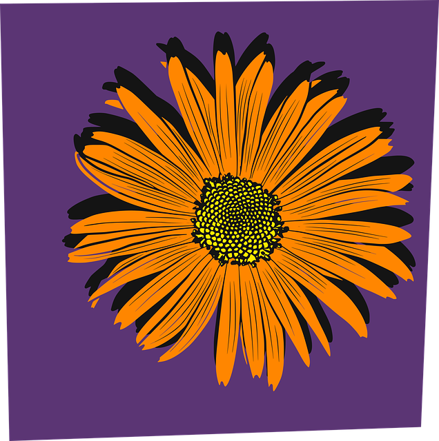 Free download Flower Orange Plant - Free vector graphic on Pixabay free illustration to be edited with GIMP free online image editor