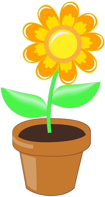 Free download Flower Orange Plants -  free illustration to be edited with GIMP free online image editor