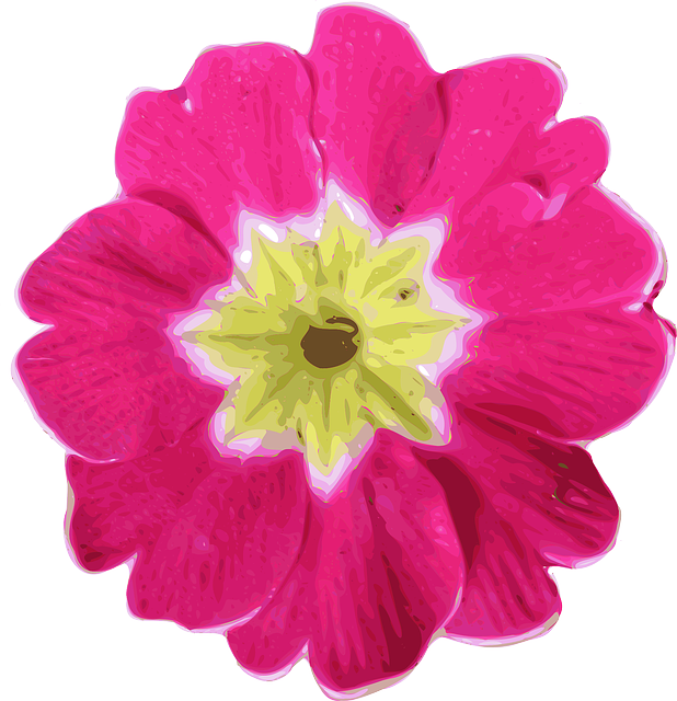 Free download Flower Pink Garden - Free vector graphic on Pixabay free illustration to be edited with GIMP free online image editor