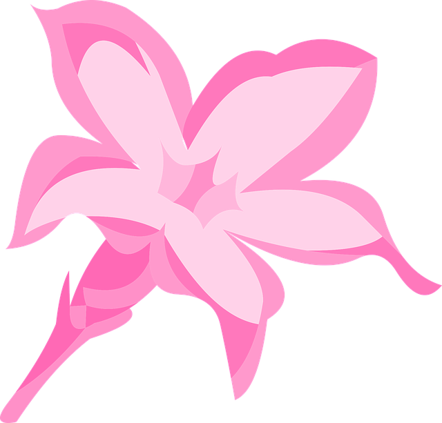 Free download Flower Pink Nature - Free vector graphic on Pixabay free illustration to be edited with GIMP free online image editor