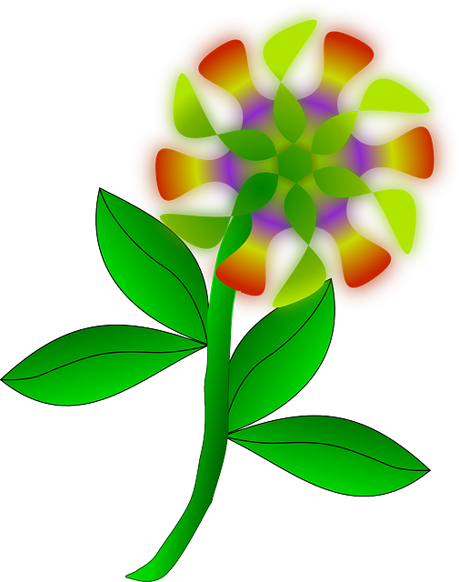 Free download Flower Plant Petals - Free vector graphic on Pixabay free illustration to be edited with GIMP free online image editor