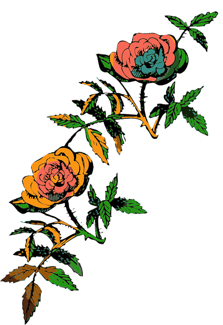 Free download Flower Rose - Free vector graphic on Pixabay free illustration to be edited with GIMP free online image editor