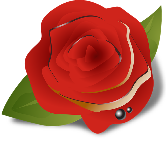 Free download Flower Rose Red - Free vector graphic on Pixabay free illustration to be edited with GIMP free online image editor