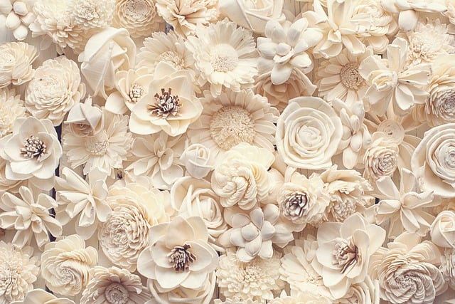 Free download flowers ivory cream wedding free picture to be edited with GIMP free online image editor