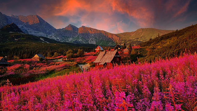 Free download flowers mountains sunrise free picture to be edited with GIMP free online image editor