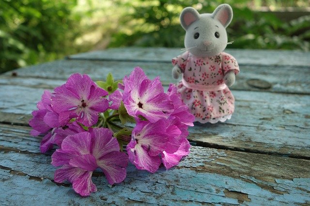 Free download Flowers Mouse Toy -  free photo or picture to be edited with GIMP online image editor