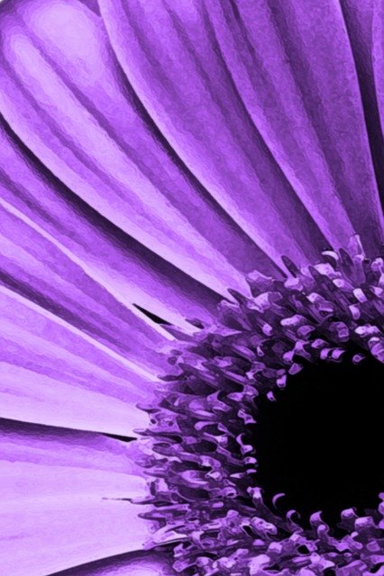 Free download Flowers Petals Purple -  free illustration to be edited with GIMP free online image editor