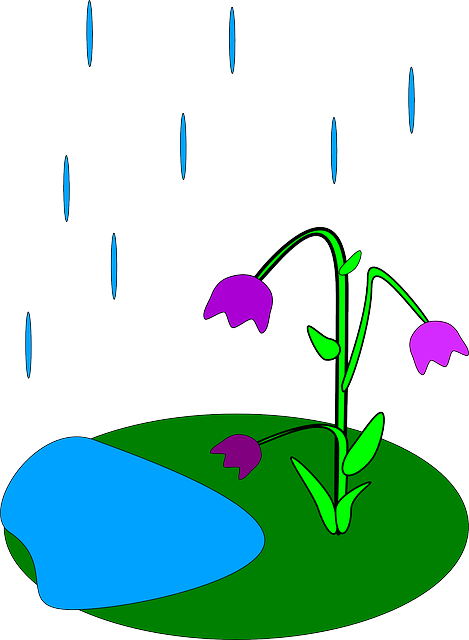 Free download Flowers Raining Rain - Free vector graphic on Pixabay free illustration to be edited with GIMP free online image editor