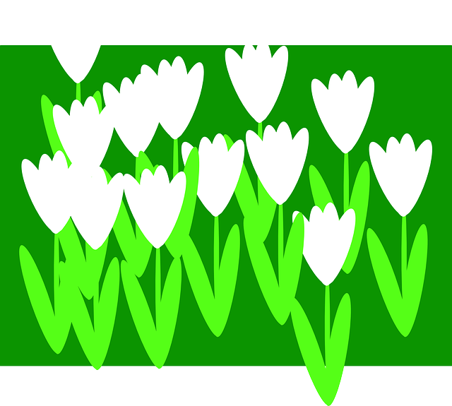 Free download Flowers Spring Summer - Free vector graphic on Pixabay free illustration to be edited with GIMP free online image editor