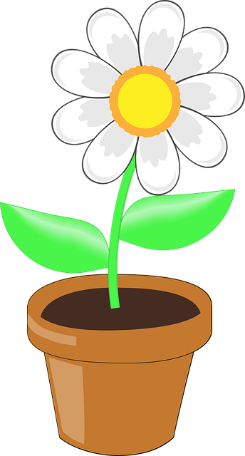 Free download Flower White Plant - Free vector graphic on Pixabay free illustration to be edited with GIMP free online image editor