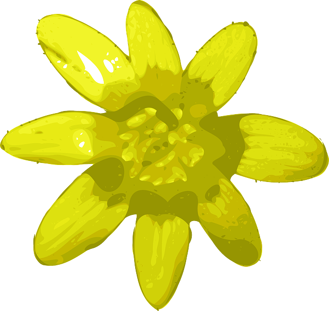 Free download Flower Yellow Bright - Free vector graphic on Pixabay free illustration to be edited with GIMP free online image editor