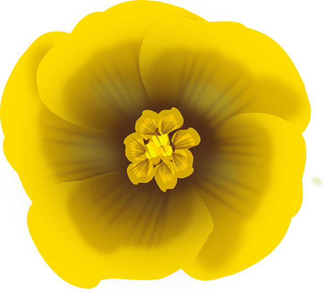 Free download Flower Yellow - Free vector graphic on Pixabay free illustration to be edited with GIMP free online image editor