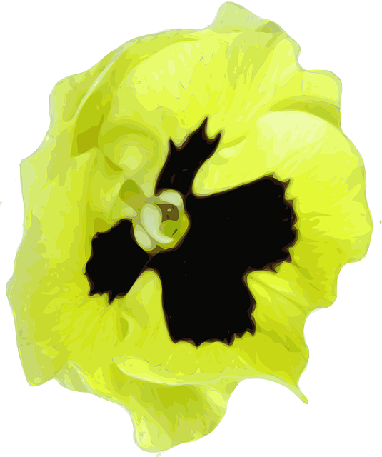 Free download Flower Yellow Spring - Free vector graphic on Pixabay free illustration to be edited with GIMP free online image editor