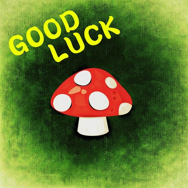 Free download Fly Agaric Luck Greeting Card -  free illustration to be edited with GIMP free online image editor