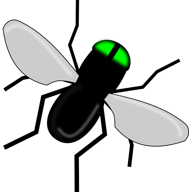 Free download Fly Bug Black -  free illustration to be edited with GIMP free online image editor