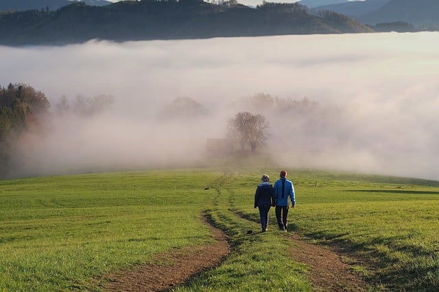 Free download fog couple walking pathway trail free picture to be edited with GIMP free online image editor