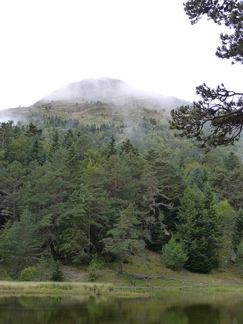 Free download fog pond baassa d oles val d aran free picture to be edited with GIMP free online image editor