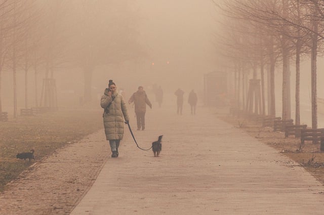 Free download fog road people haze city park free picture to be edited with GIMP free online image editor