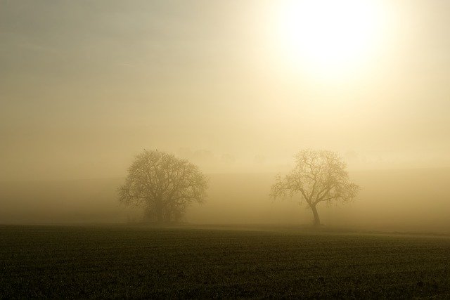 Free download Fog Sun Backlighting -  free photo or picture to be edited with GIMP online image editor