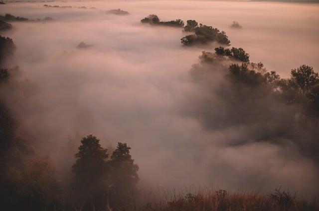 Free download fog trees mountains wilderness free picture to be edited with GIMP free online image editor