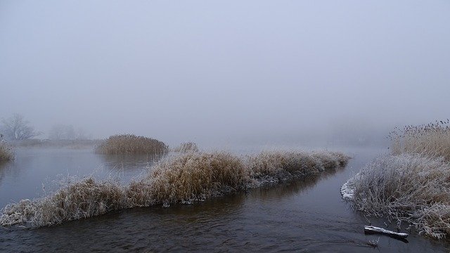 Free download Fog Water Landscape -  free photo or picture to be edited with GIMP online image editor