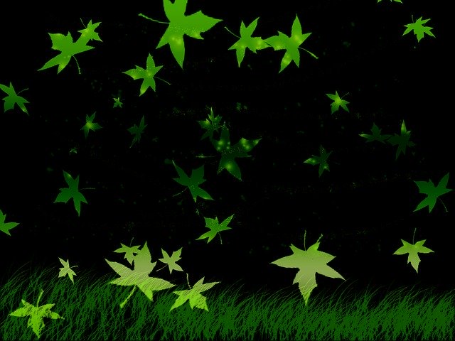 Free download Foliage Grass Black The -  free illustration to be edited with GIMP free online image editor