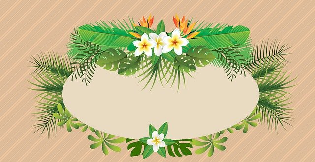 Free download Foliage Greenery Floral -  free illustration to be edited with GIMP free online image editor