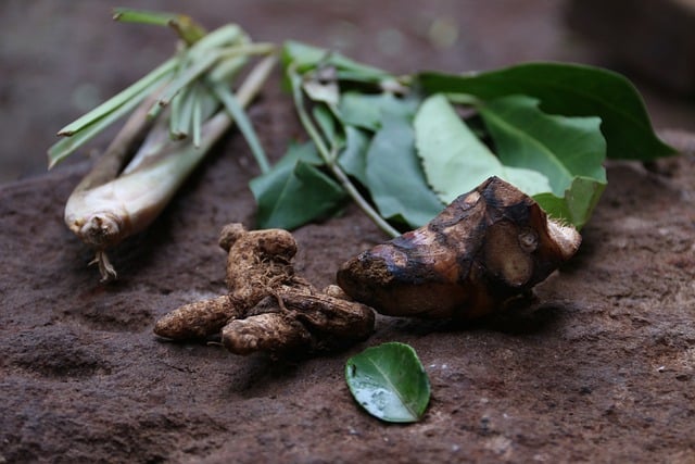 Free download food herbs pepper cooking health free picture to be edited with GIMP free online image editor