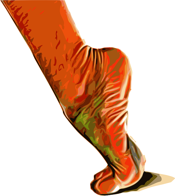 Free download Foot Muscles - Free vector graphic on Pixabay free illustration to be edited with GIMP free online image editor