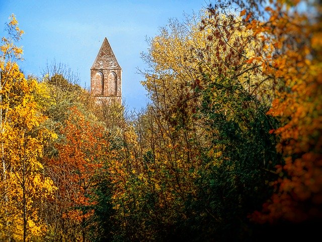 Free download Forest Autumn Steeple -  free photo or picture to be edited with GIMP online image editor