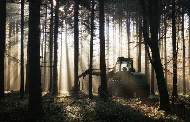 Téléchargement gratuit de Forest Backlighting Harvester - photo ou image gratuite à éditer avec l'éditeur d'images en ligne GIMP