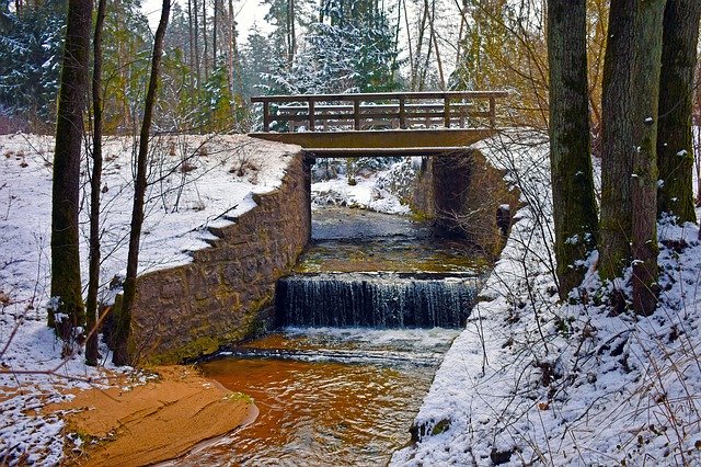 Free download Forest Bavaria Germany -  free photo or picture to be edited with GIMP online image editor