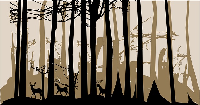 Free download Forest Dark Trees free illustration to be edited with GIMP online image editor