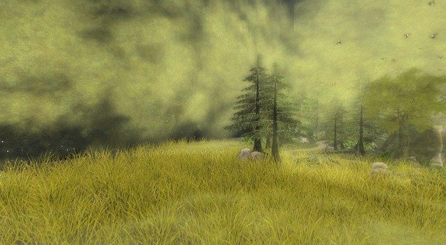 تنزيل مجاني Forest Glade Tree - رسم توضيحي مجاني ليتم تحريره باستخدام محرر الصور المجاني على الإنترنت GIMP