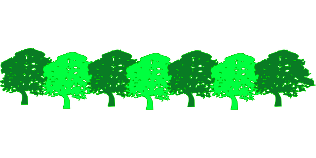 Free download Forest Green Trees - Free vector graphic on Pixabay free illustration to be edited with GIMP free online image editor