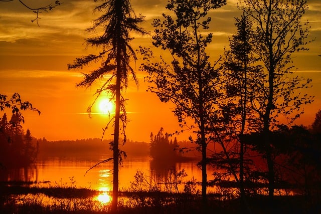 Free download forest lake sunset landscape free picture to be edited with GIMP free online image editor